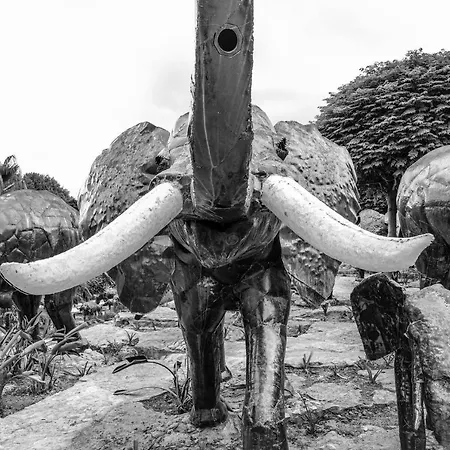 Вилла Casa Alegria