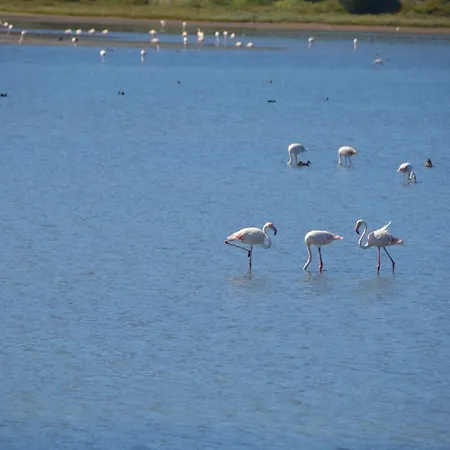 Casa Alegria Вилла