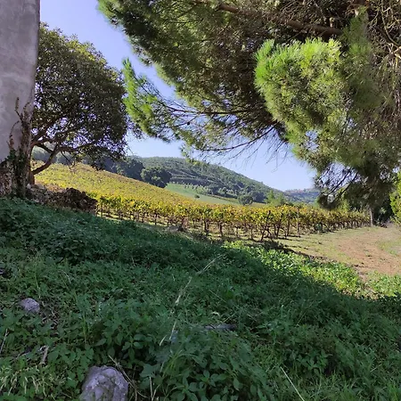 Casa Alegria Вилла *