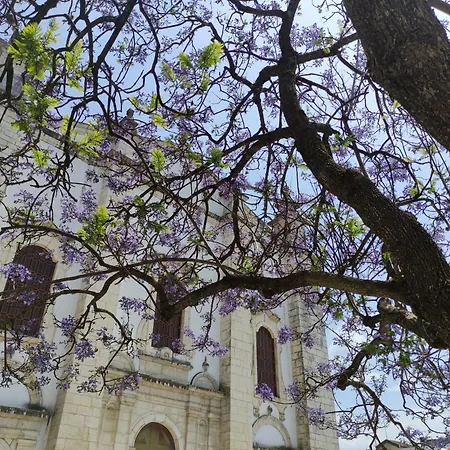 Casa Alegria Вилла *