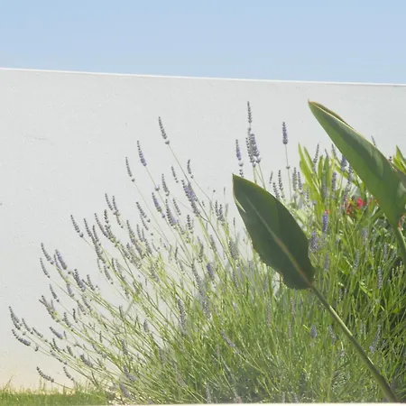 Villa Casa Alegria *