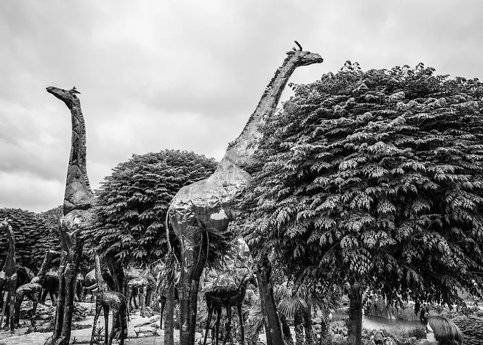 וילה Casa Alegria *