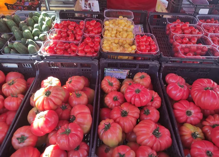 וילה Casa Alegria