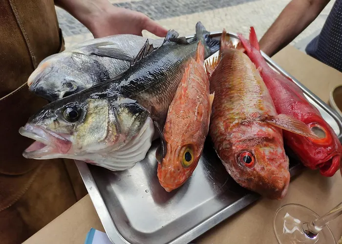 Casa Alegria וילה