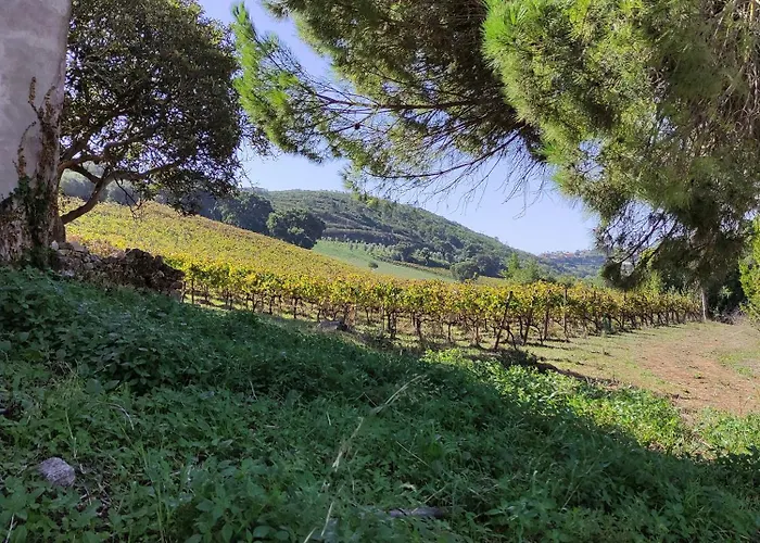 Casa Alegria וילה *