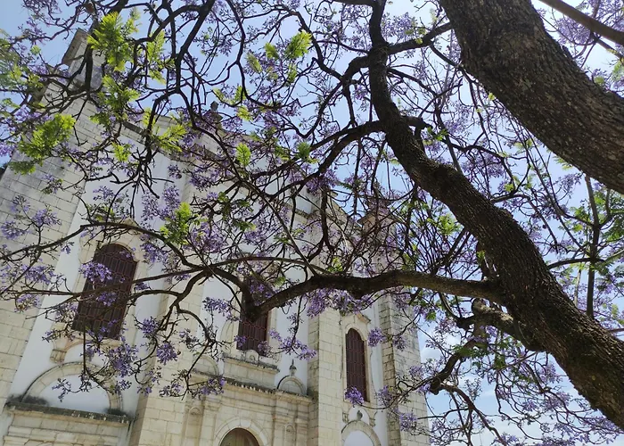 Casa Alegria וילה *